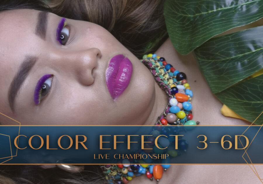 Color Effekt 3-6 D live championship .